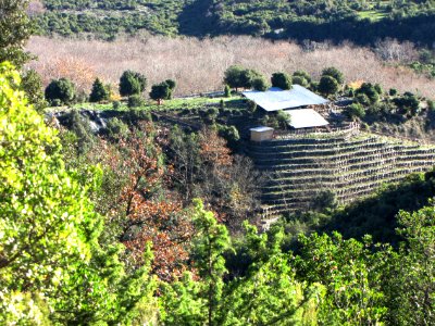 Leivithra Akropolis