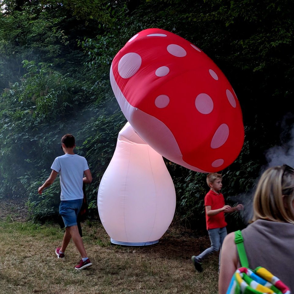 Lichterfest Zauberwald