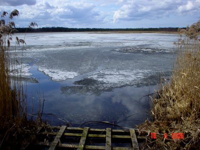 Limu järv