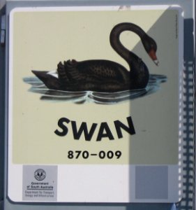 Mannum ferry-Swan sign