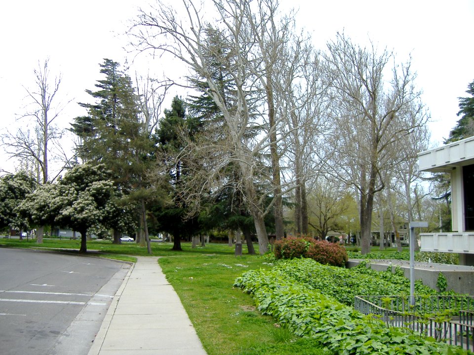 Merced CA Historic Courthouse Park