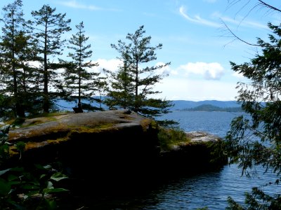 MermaidsCove