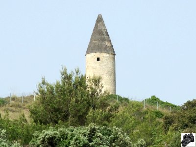 Molinos son servera