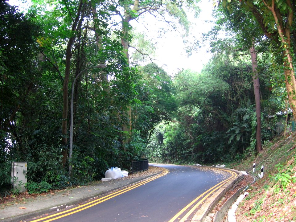Mount Faber Loop 3, Nov 06