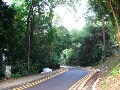 Mount Faber Loop 3, Nov 06