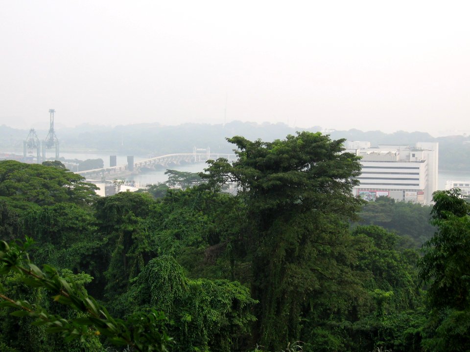 Mount Faber Park 6, Nov 06