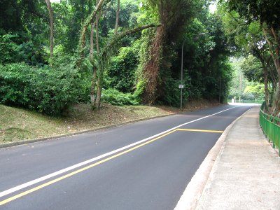 Mount Faber Road 3, Nov 06 photo