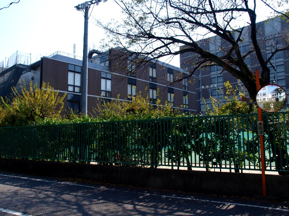 Musashino Girls' highschool