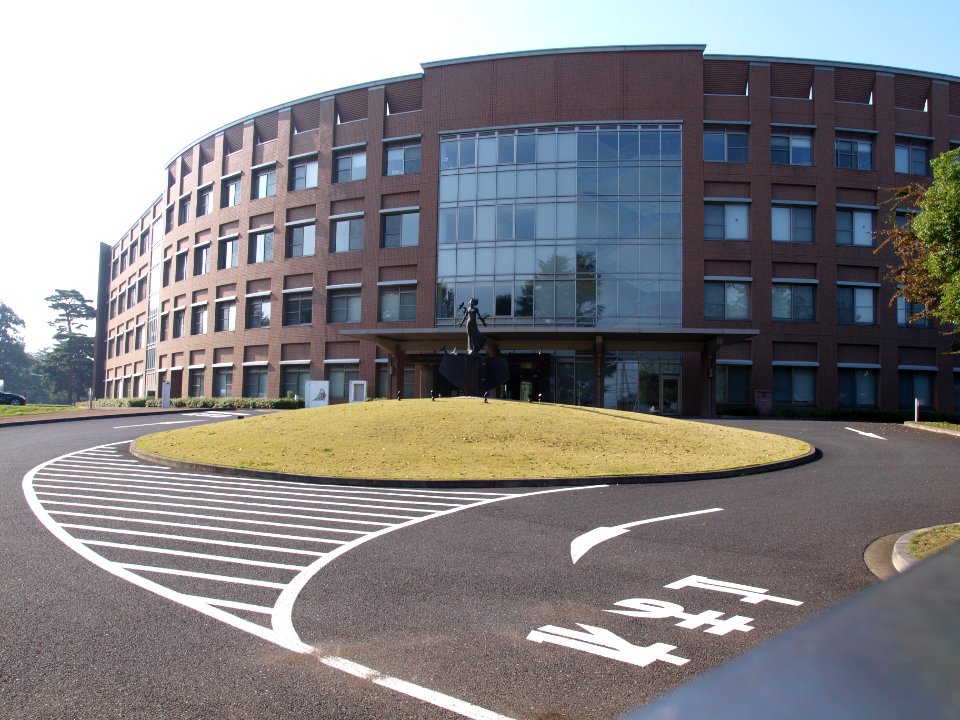 National College of Nursing