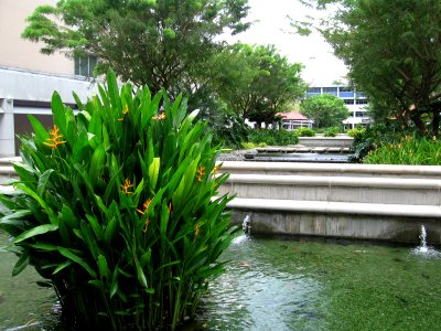 Nanyang Polytechnic 2, Nov 06