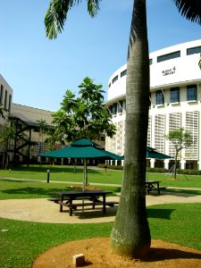 National Institute of Education 2