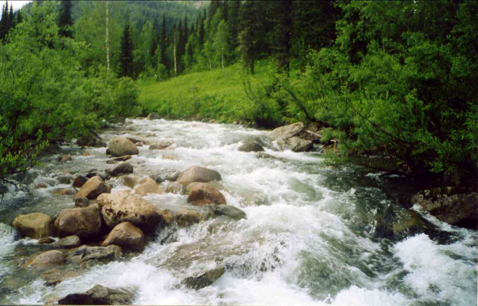 Nature Zuby 3