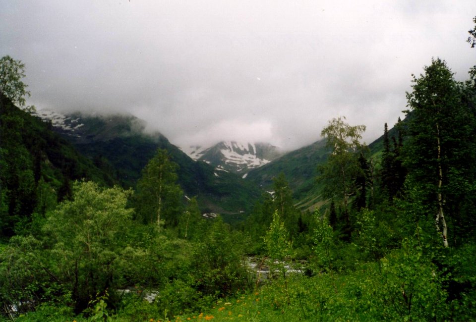 Nature Zuby 1