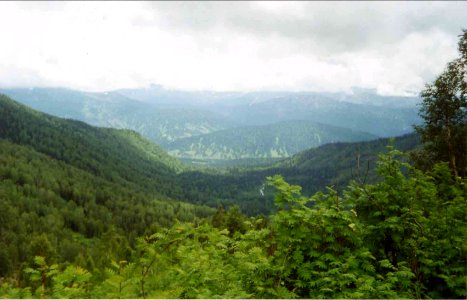 Nature Zuby 2