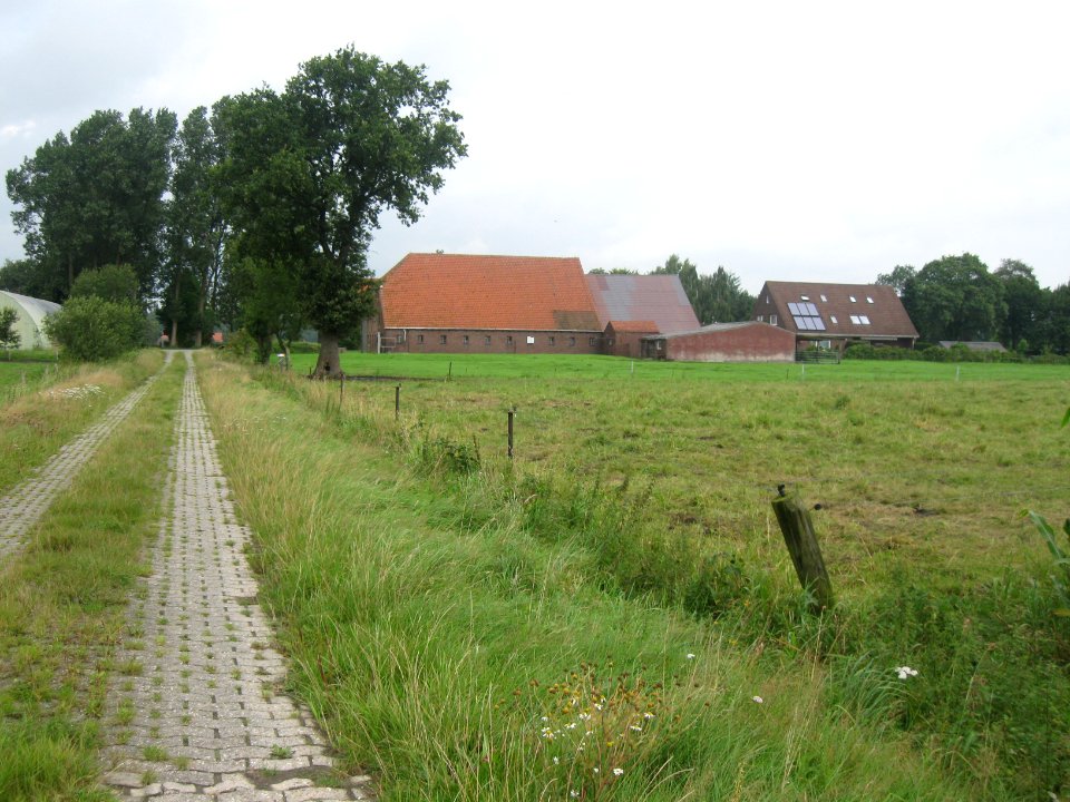 Neuenhaus von Süden ausgesehen