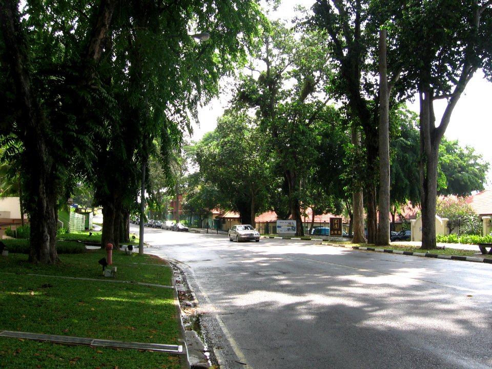 Netheravon Road, Jul 06