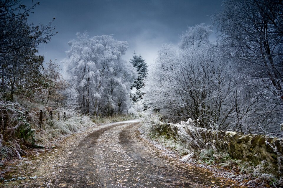 Snow nature landscape