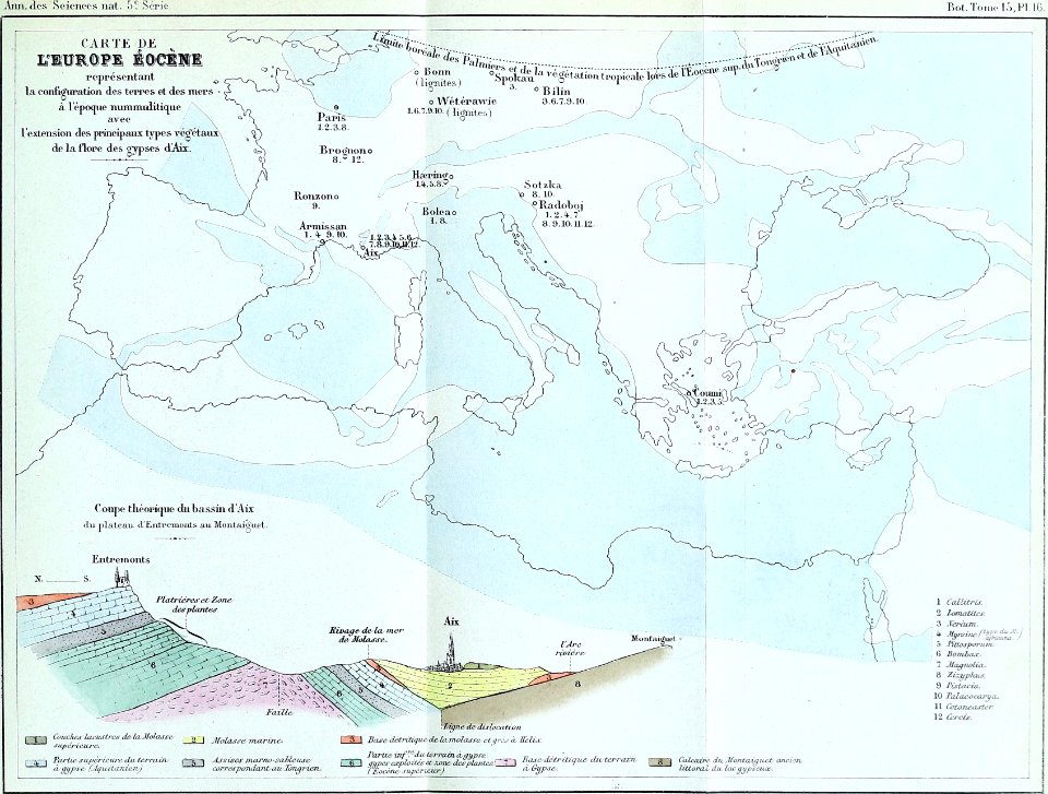 Annales des Sciences Naturelles Botaniques (18403255802)