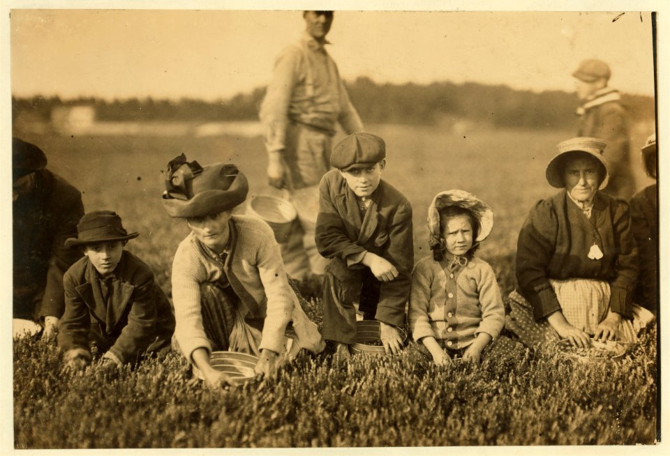 Annette Roy, the youngest worker. Said 7 years old. Picked last year. Lives 171 Orange Street, Fall River, Mass. Also Napoleon Ruel, 53 Hopkins Street, Fall River, Mass. Said 9 years old. LOC nclc.00128