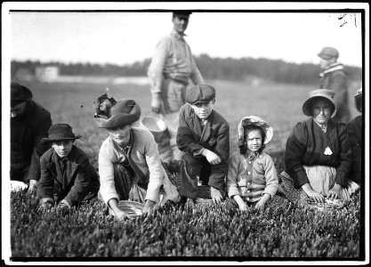 Annette Roy, the youngest worker, 7 years old. Picked last summer. Also Napoleon Ruel, 9 years old. South Carver, Mass. - NARA - 523468