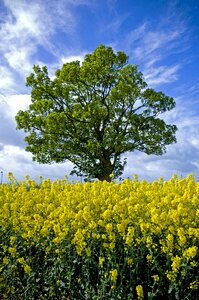 Nature landscape sky