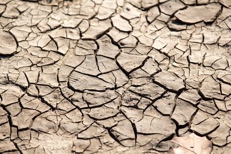 Arid mud dry