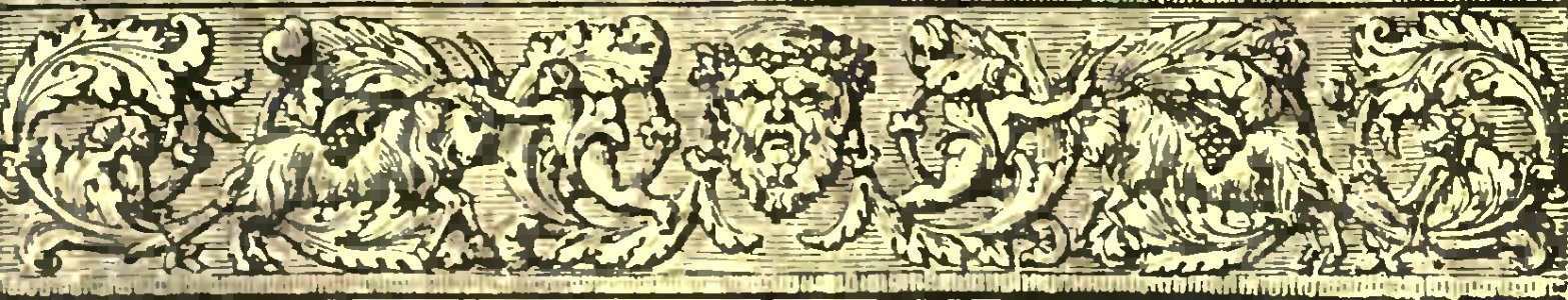 Anonyme - Brun de La Montaigne (page 9 crop)