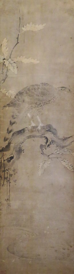 Falcon on a Branch, anonymous, 18th century, Honolulu Museum of Art