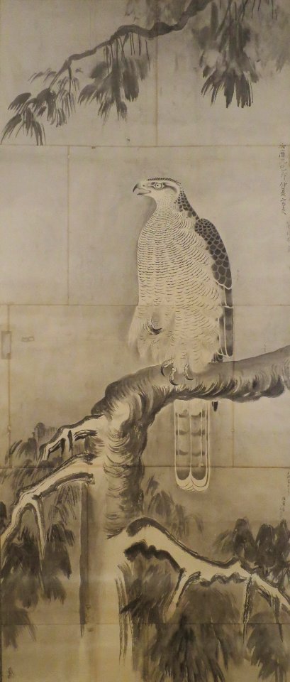 Detailed sketch of a falcon on a pine by an unknown Japanese artist, 1759