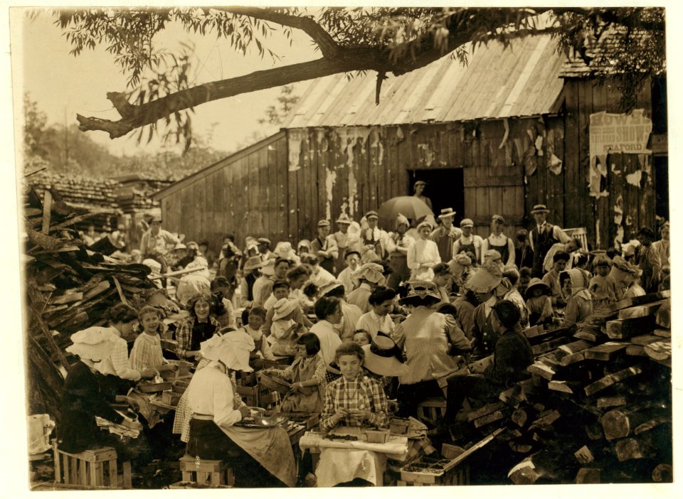 Another general view of the 'hulling' station of A. J. Johnson at Seaford, Del. LOC nclc.00786