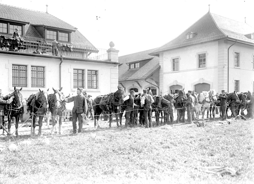 Anpassen der Pferdegeschirre im Zeughaus Lyss - CH-BAR - 3238460