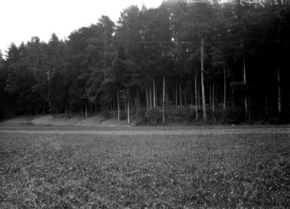 Ansicht Befestigungen im Wald - CH-BAR - 3241754