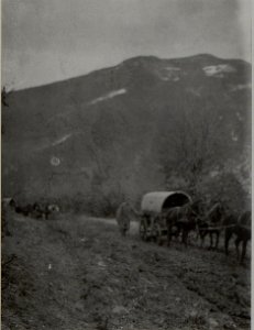 Ansichetn aus NOVIBAZAR. Aufgenommen im Februar 1916. (BildID 15454651) photo