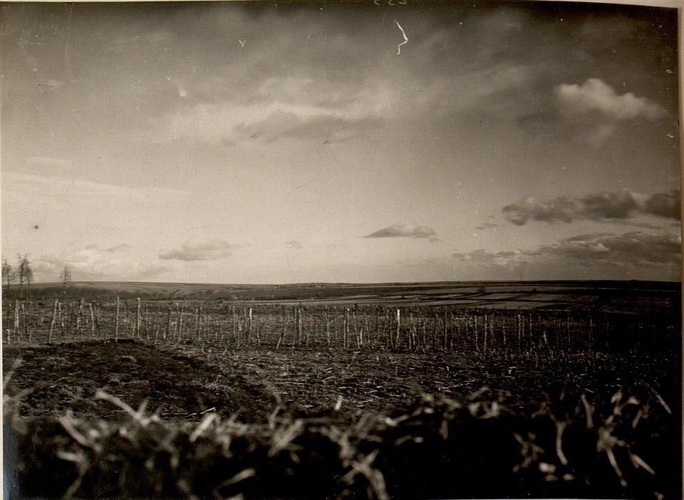 ANSICHT VON CHMIALOWA UND SYBINSKAHÖHE. Aufgenommen am 11.IV.1916. Inf.Rgt.Nro.60. (BildID 15537080)