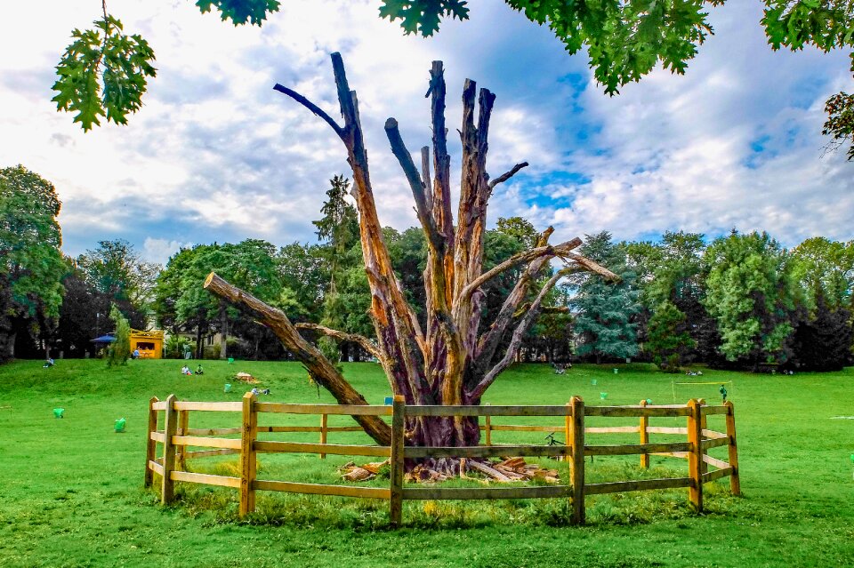 Parc grass landscape