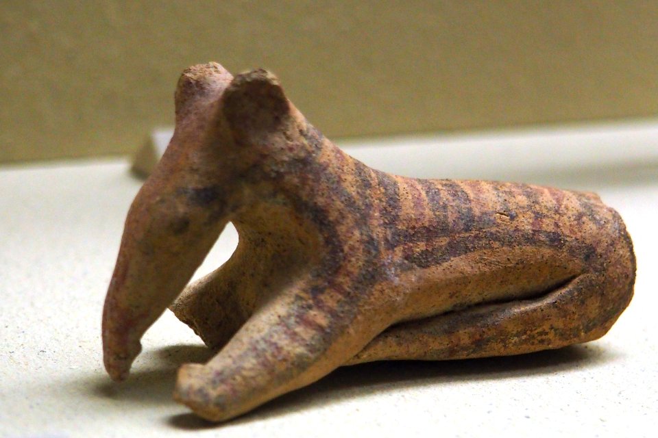 Anteater-MAHG P 0391-P6130458