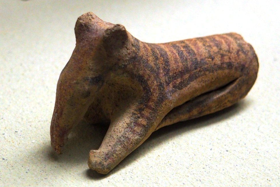 Anteater-MAHG P 0391-P6130459