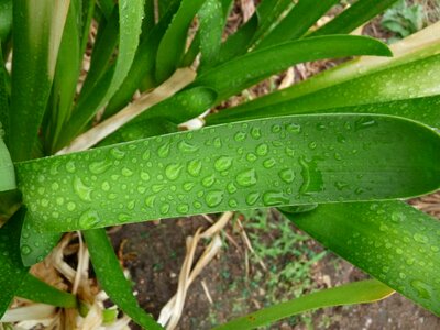 Drop wet droplet