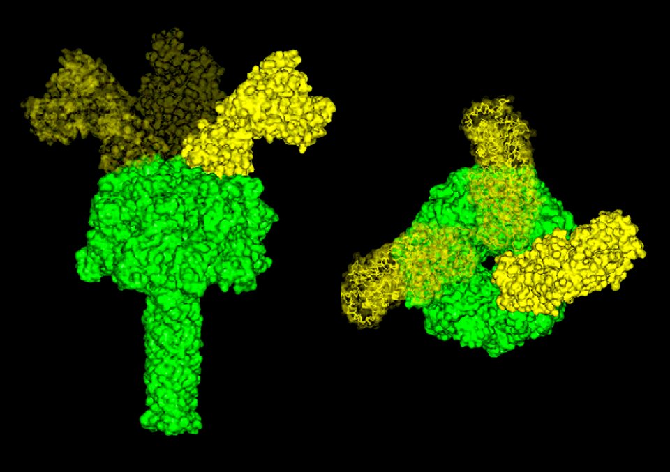 Anthrax Detection (5880546385)