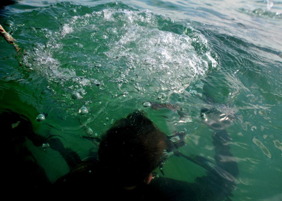 Anti-terrorism force protection dive 130130-N-RE144-122