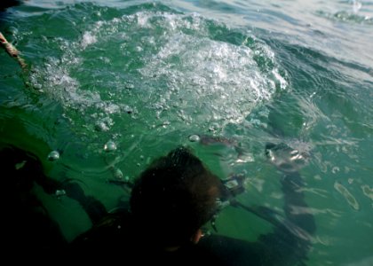 Anti-terrorism force protection dive 130130-N-RE144-122