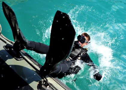 Anti-terrorism force protection dive 130130-N-RE144-254