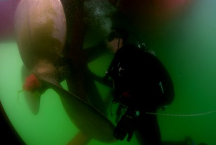 Anti-terrorism force protection inspection dive 130127-N-GG400-013