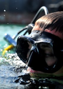 Anti-terrorism force protection dive 130130-N-RE144-135