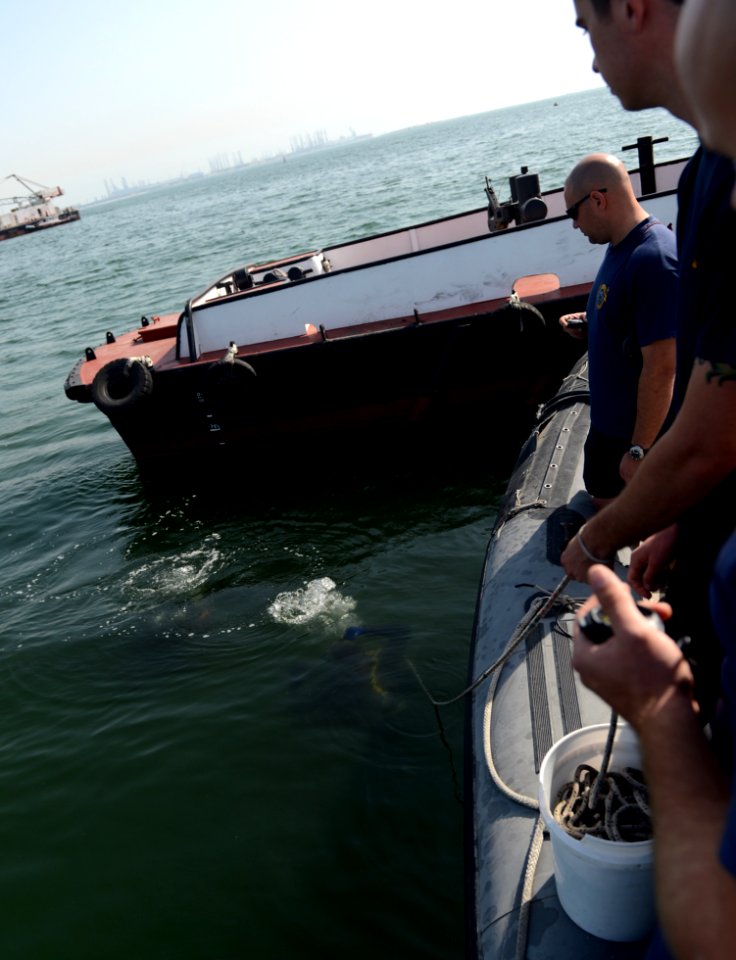 Anti-Terrorism Force Protection inspection dive 130124-N-PF210-162