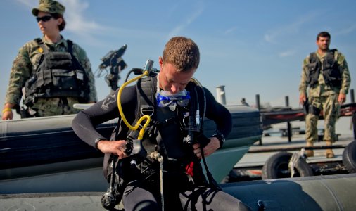 Anti-Terrorism Force Protection inspection dive 130227-N-GG400-031