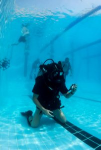 Anti-Terrorism Force Protection inspection dive 130717-N-OM642-214