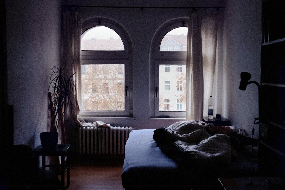 Room interior plant