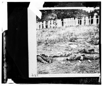 Antietam, Maryland. Dead soldiers on battlefield LOC cwpb.00978