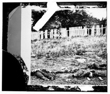 Antietam, Maryland. Dead soldiers on battlefield LOC cwpb.00975